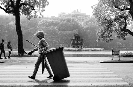 Wood Recycling Best Practices for Sustainable Construction and Waste Reduction