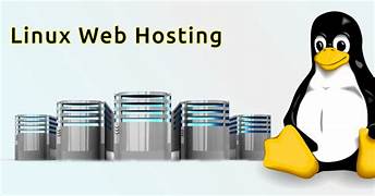 Windows VPS Hosting Company in Nepal – Powerful Servers with Linux VPS Hosting