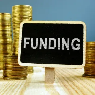 Purple tree funding for accountants